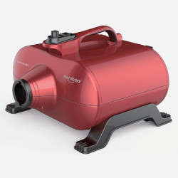 Typhoon Dual Motor Dryer DHD3000F